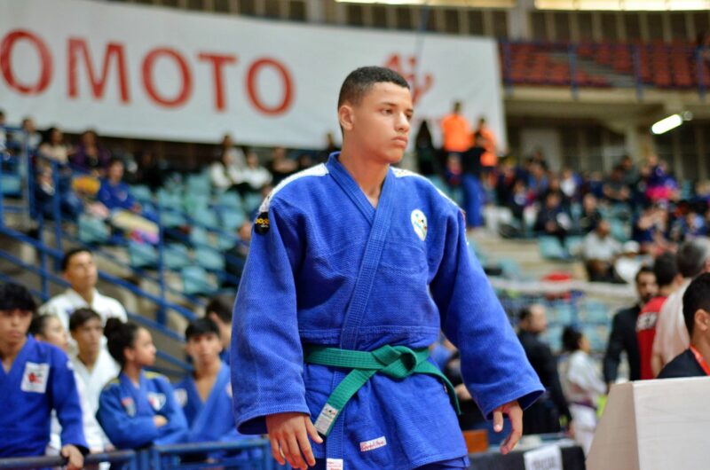 inbound4401343899524398819