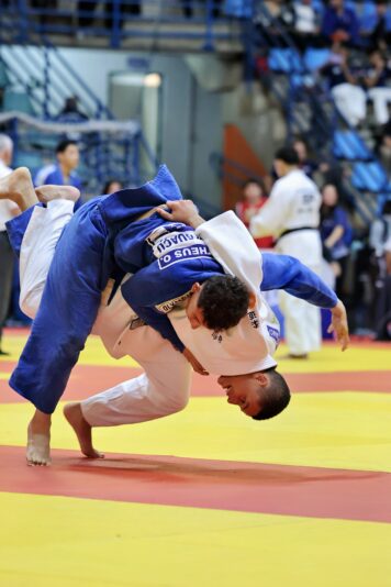 inbound2393357985082118081