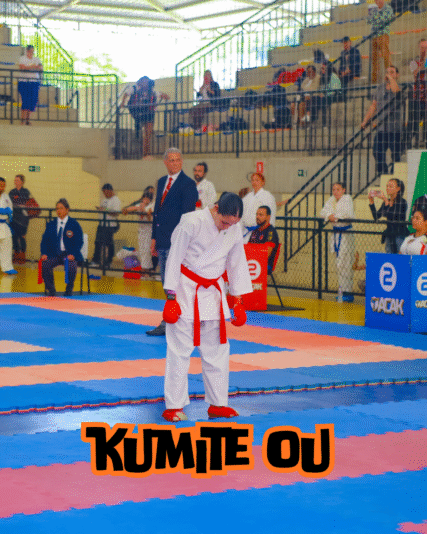 Inserir um subtítulo (1)